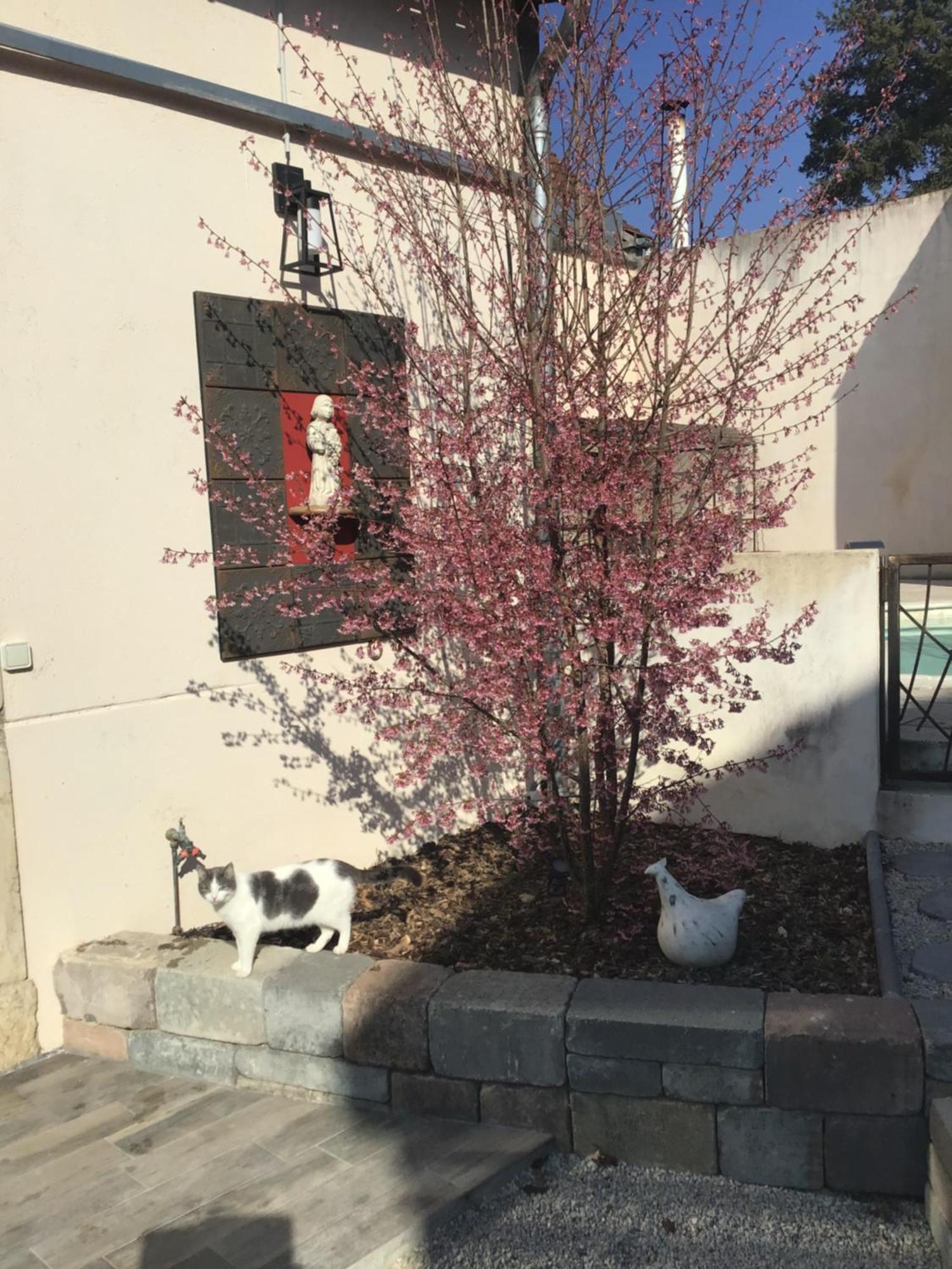 Ma Maison Beaune  Bagian luar foto
